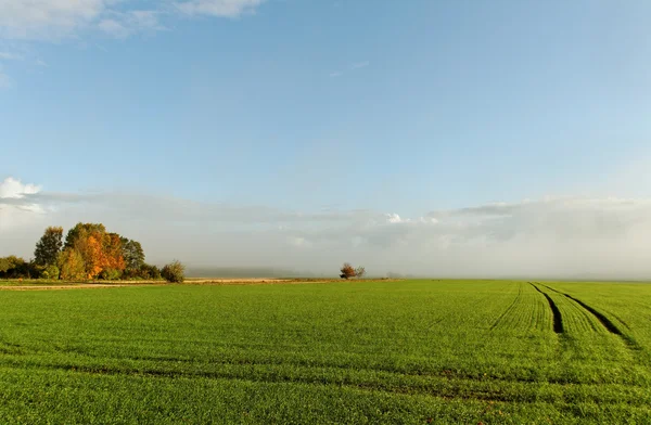 Country landscape. — Stock Photo, Image