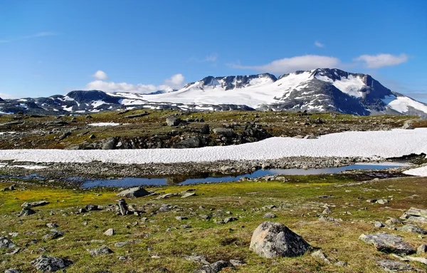 Krajobraz gór z Norwegii. — Zdjęcie stockowe