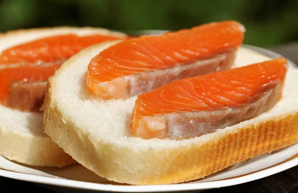 Sandwich with salmon. — Stock Photo, Image