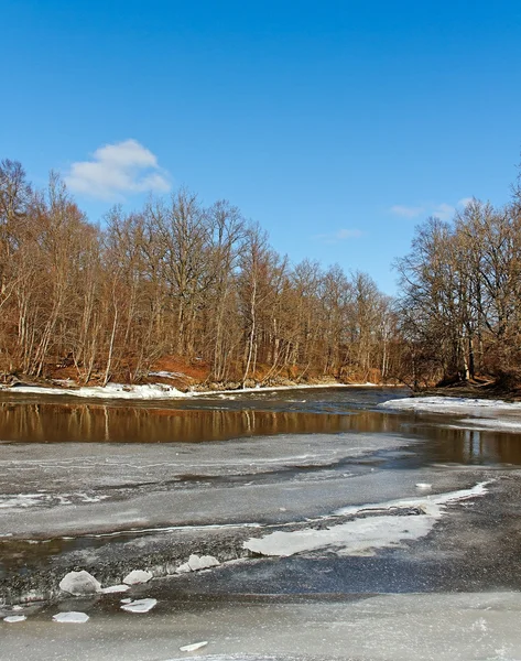 Kleiner Fluss in einer Frühjahrssaison. — Stockfoto