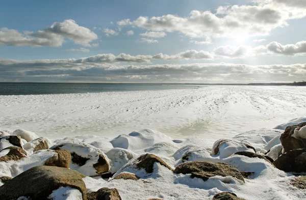 Toupeira no mar Báltico . — Fotografia de Stock