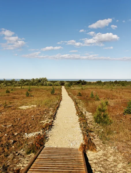 Kurische Nehrung. — Stockfoto