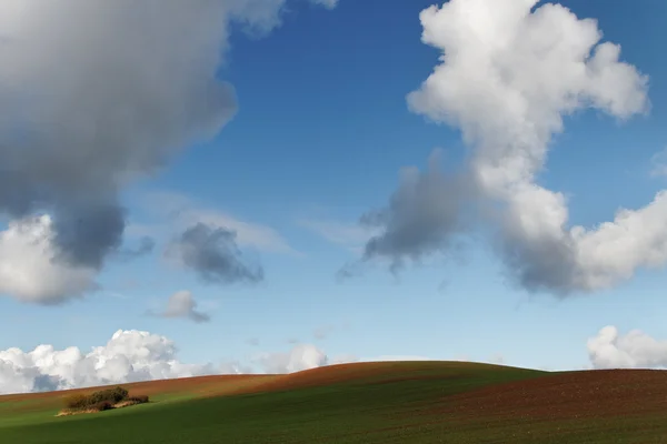 Hill farmland. — Stock Photo, Image