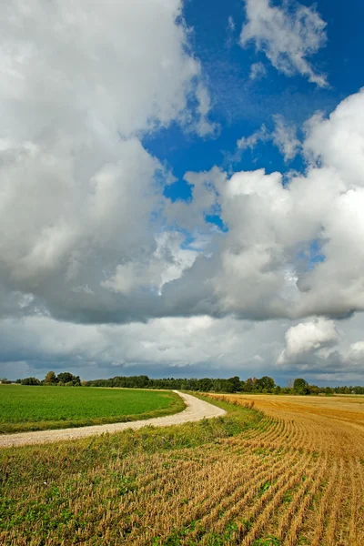 Country road. — Stock Photo, Image