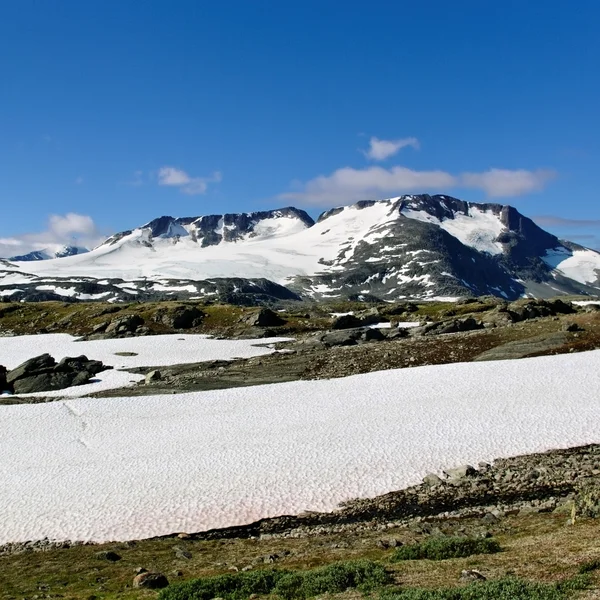 Berge der norwegischen Landschaft. — Stockfoto