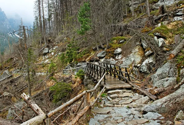 Berglandschap. — Stockfoto