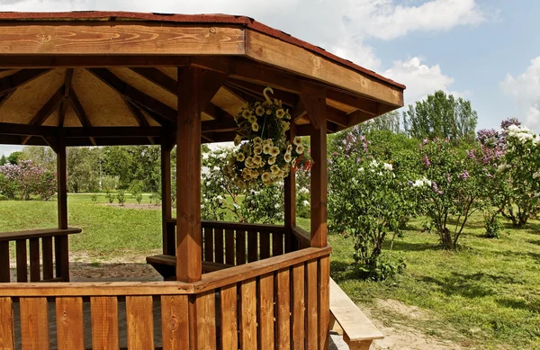 Arbor en un jardín . —  Fotos de Stock