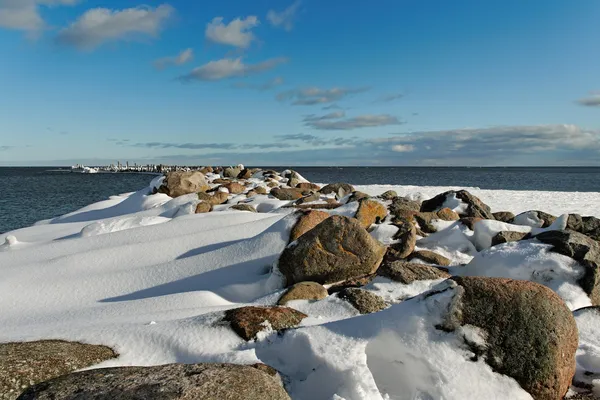 Vid Baltiska havet. — Stockfoto