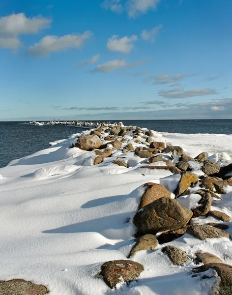 Aan de Baltische Zee. — Stockfoto