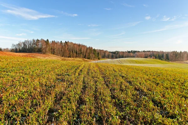 Paesaggio rurale . — Foto Stock