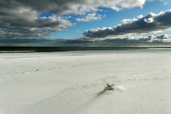 У Балтийского моря. — стоковое фото