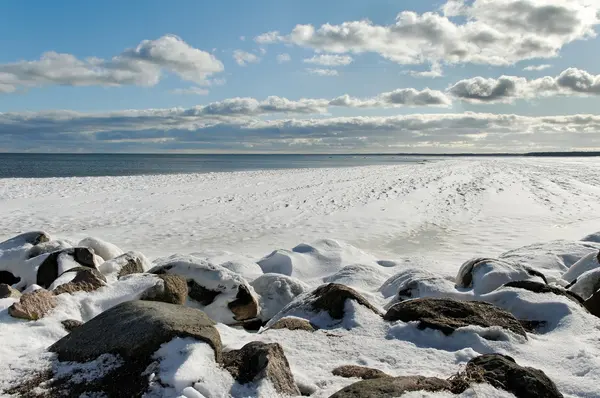 Vid Baltiska havet. — Stockfoto