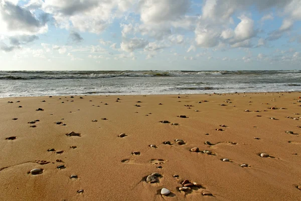 Sledování na písku. — Stock fotografie