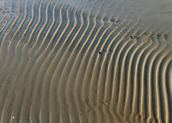 Wet sand. — Stock Photo, Image