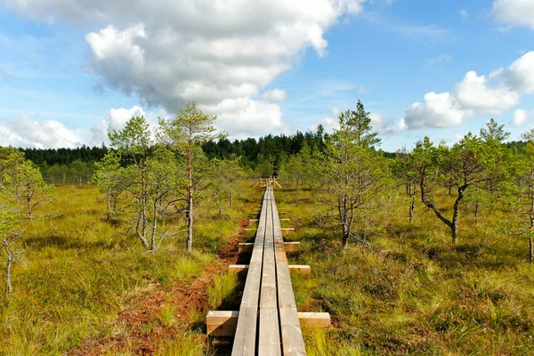 Národní park kemeri. — Stock fotografie