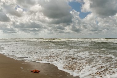 fırtınalı denizde.