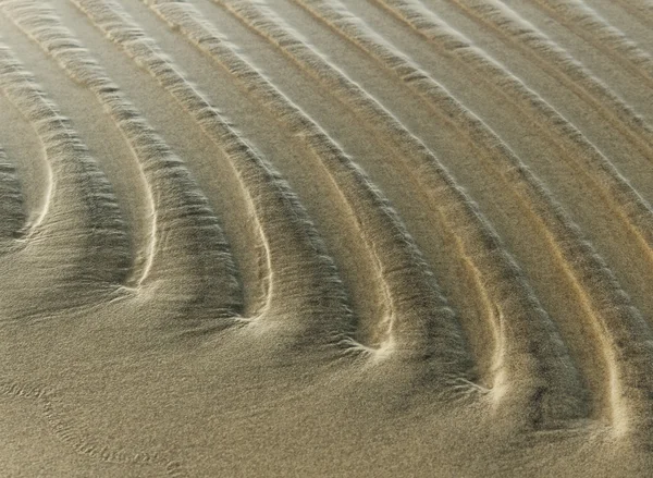 Wet sand. — Stock Photo, Image