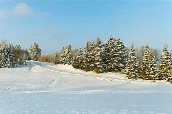 Paisaje invierno. —  Fotos de Stock