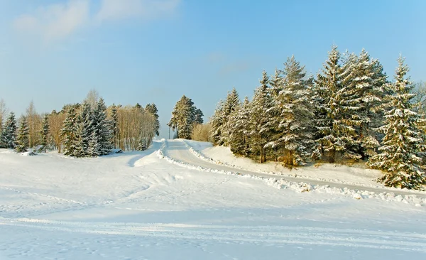 Krajobraz zimowy. — Zdjęcie stockowe