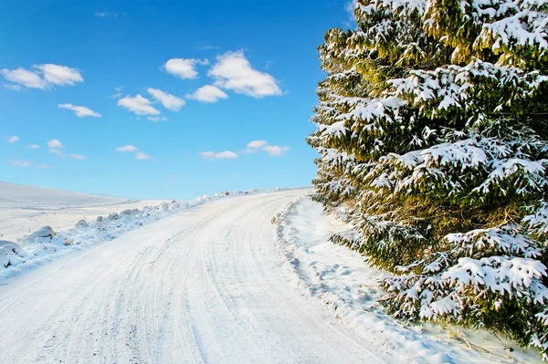 Camino de invierno. — Foto de Stock