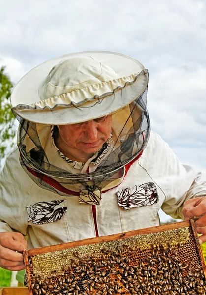 L'apicoltore sta lavorando . — Foto Stock