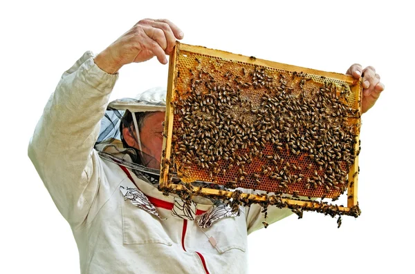 Pszczelarz pracuje. — Zdjęcie stockowe