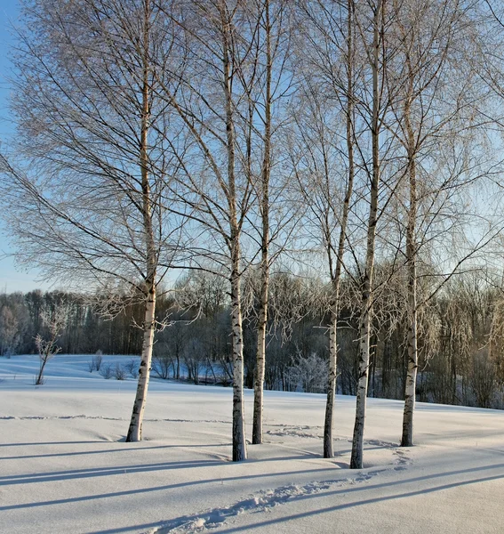 Winter landscape. — Stock Photo, Image