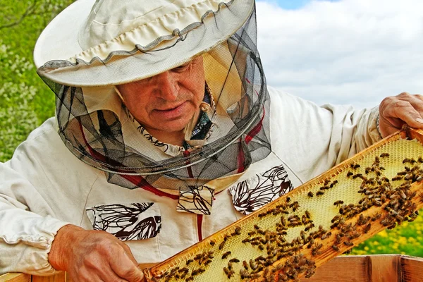 L'apiculteur travaille . Photos De Stock Libres De Droits