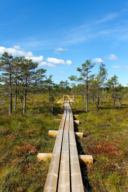 kemeri Milli Parkı.