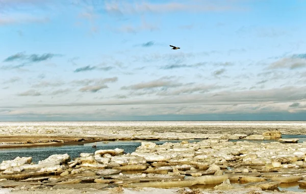 Havet med trasiga is. — Stockfoto