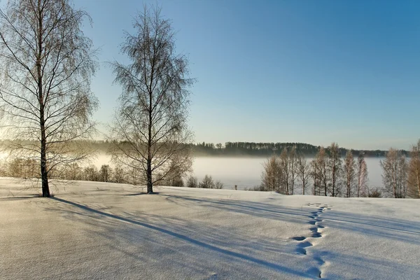 Vinterlandskap. — Stockfoto