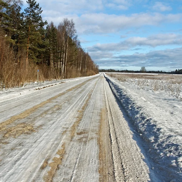 Country road. — Stock Photo, Image