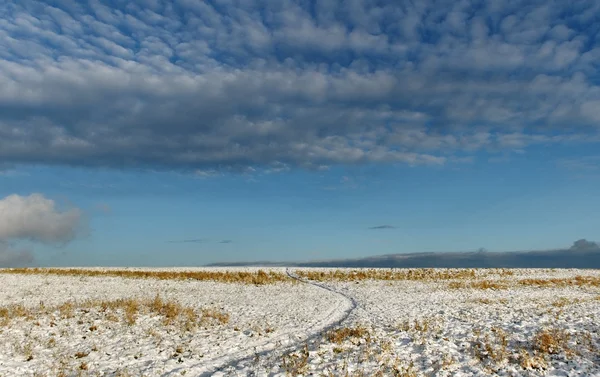 Landschaft. — Stockfoto