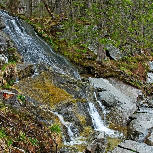 Slovacchia montagne . — Foto Stock