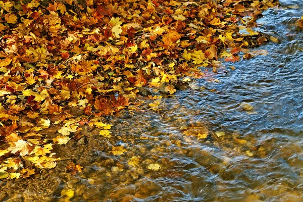 Snabb floden. — Stockfoto