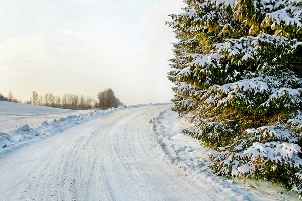 Strada invernale. — Foto Stock