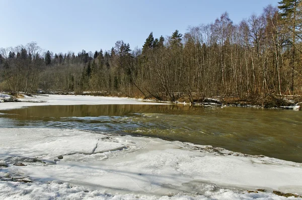 Río de invierno . — Foto de Stock