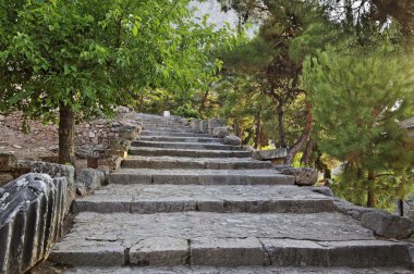 Delphi, Yunanistan.