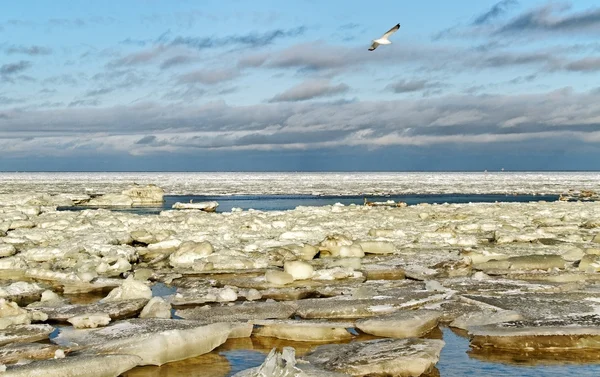 Mar Báltico. — Fotografia de Stock