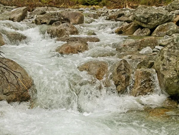 Ruisseau de montagne rapide . — Photo