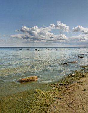 Deniz kenarındaki güzel bir gün.