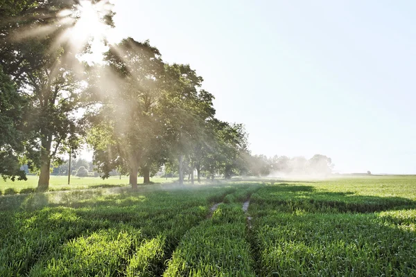 Land landschap. — Stockfoto