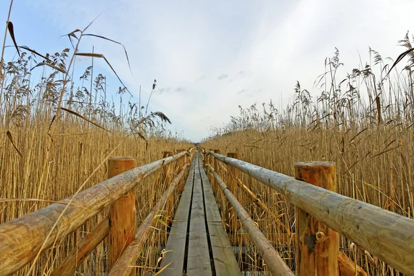 Traject op het meer. — Stockfoto