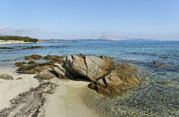 Golfo aranci. — Stockfoto