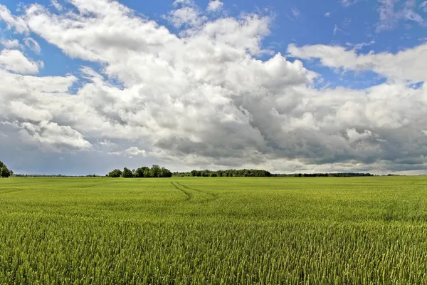 Paisaje rural . —  Fotos de Stock