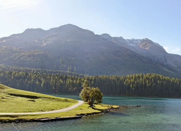 St Moritz lake. — Stock Photo, Image
