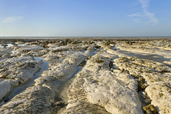 Playa en el mar. — Foto de Stock