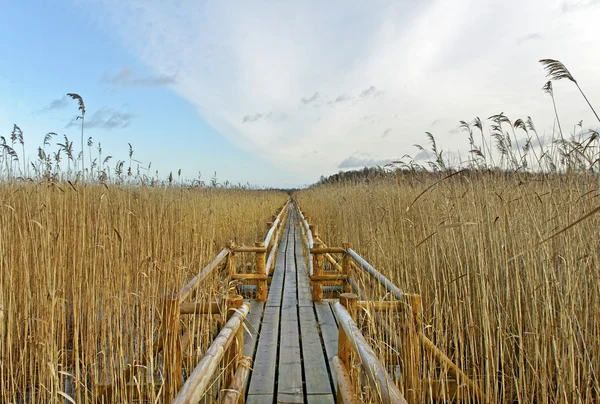 Pathway on the lake. — Stock Photo, Image