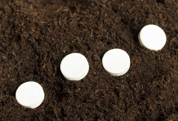 Fehér tabletta a talajban. — Stock Fotó