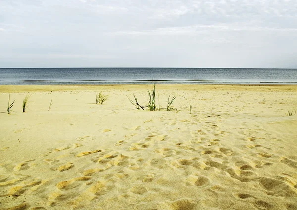 Na moře. — Stock fotografie